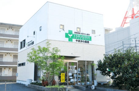 ドラックストア　山川薬局（ドラッグストア）まで1013m