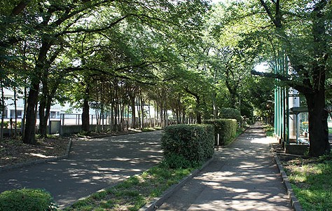 公園　十条公園（公園）まで1102m