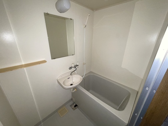 バス・シャワールーム　※別部屋の写真です