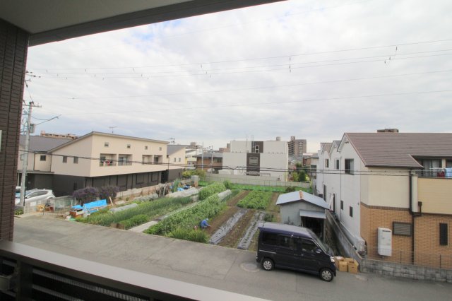 眺望