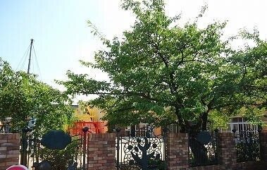 その他　本成寺保育園（その他）まで1500m