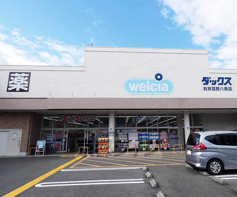 ドラックストア　ダックス右京葛野八条店（ドラッグストア）まで292m