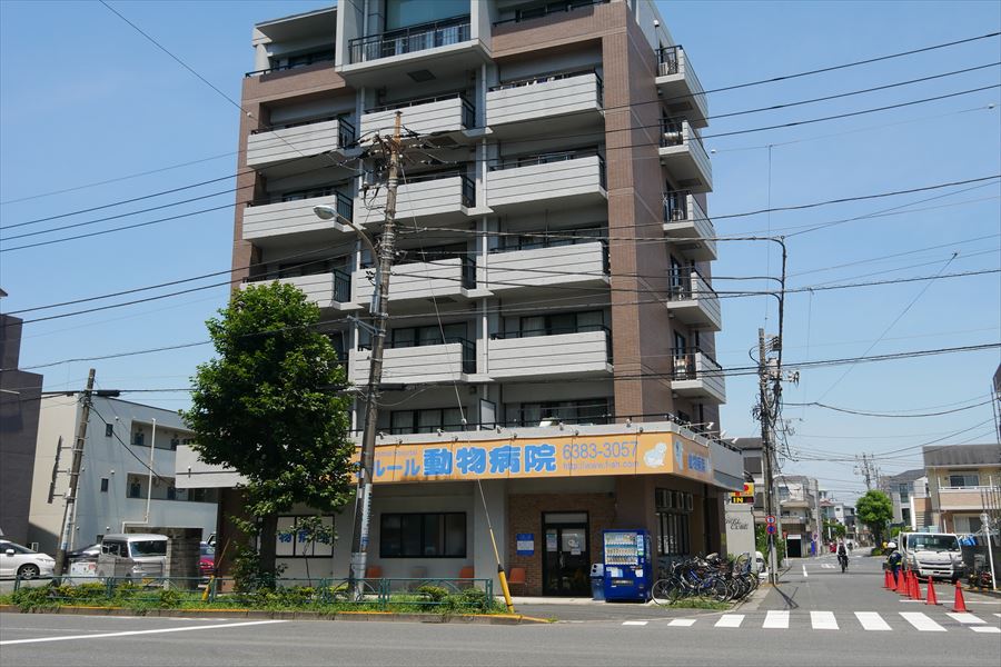 その他　フルール動物病院（その他）まで155m