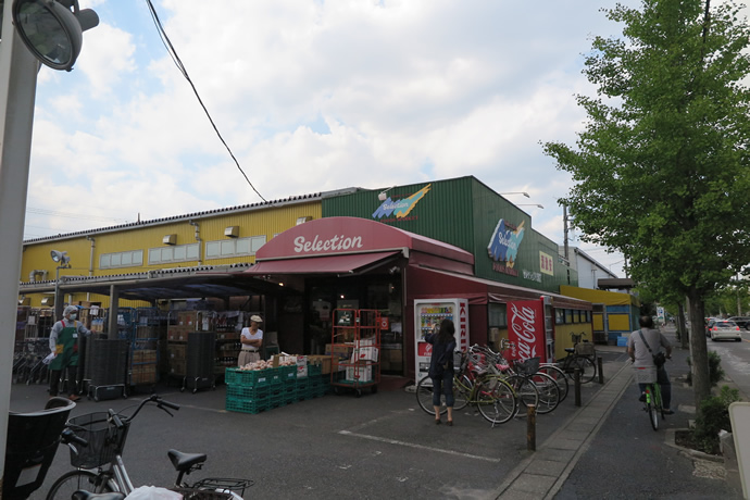 スーパー　FOODS MARKET Selection八潮店（スーパー）まで479m