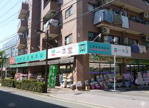 ドラックストア　ドラッグストア一本堂浮間舟渡店（ドラッグストア）まで682m