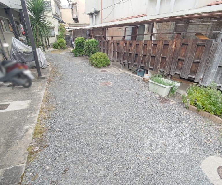 庭