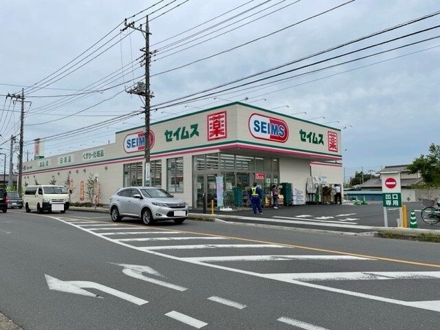 ドラックストア　ドラッグセイムス東大宮店（ドラッグストア）まで197m