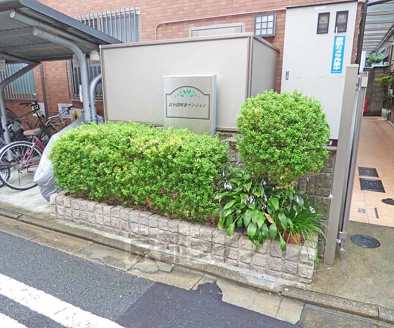 庭