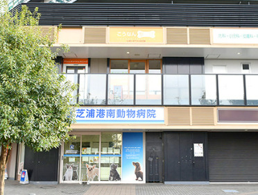 病院　港南三丁目歯科（病院）まで284m
