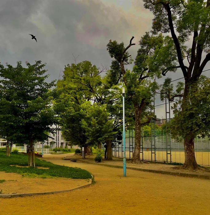 公園　公園（公園）まで30m