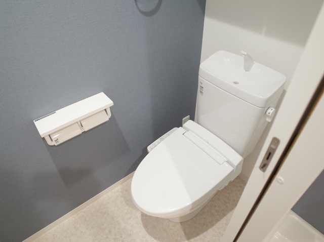 エヌエム・スワサント・シスのトイレ写真