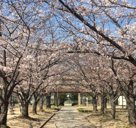 公園　浜戎公園（公園）まで548m