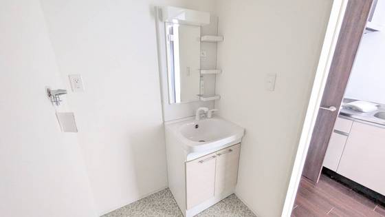 洗面設備　※別の部屋の写真です。