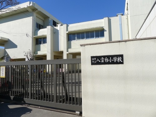 小学校　調布市立八雲台小学校（小学校）まで290m