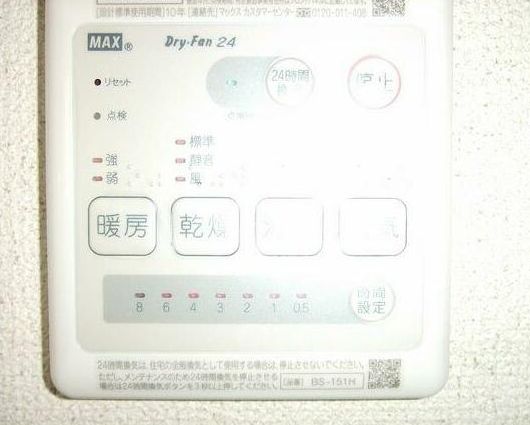 その他設備　Ficus-retusa