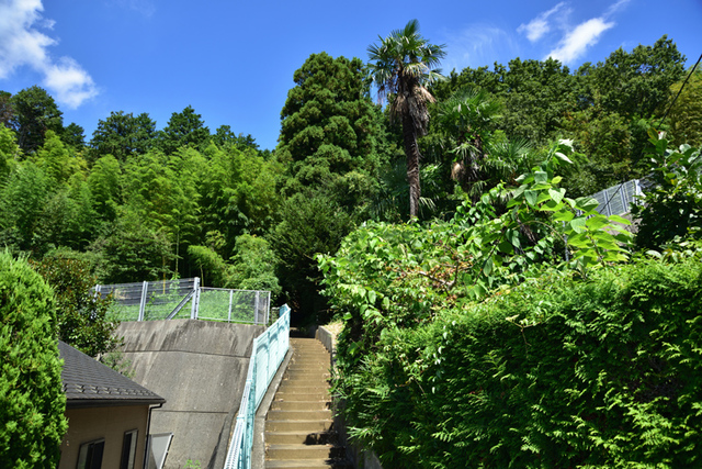 【メゾンドフォルジュの公園】