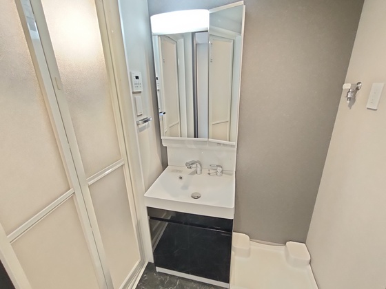 洗面設備　別部屋の写真