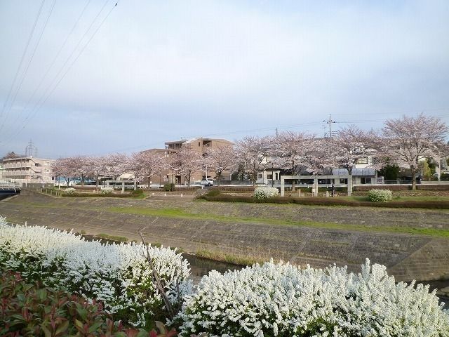 その他　大栗川（その他）まで10m