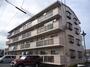 博多南駅より徒歩13分 4階 築37年11ヶ月の賃貸物件