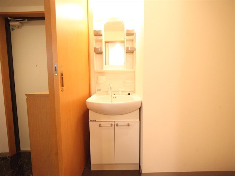 洗面設備　脱衣所　独立洗面台（シャンプードレッサー付）収納スペース有