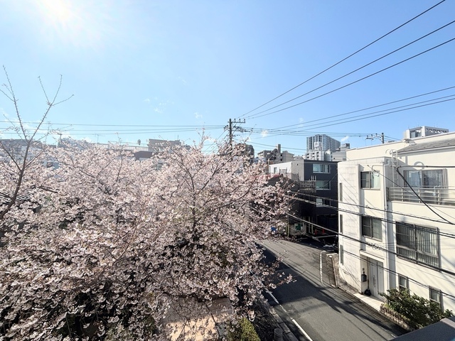 眺望　・２０２６年４月撮影（桜が望めます）