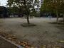 公園　阪陽公園（公園）まで500m