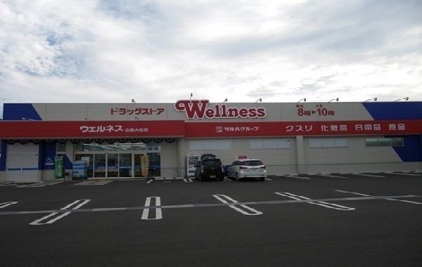 ドラックストア　ウェルネス出雲大社店（ドラッグストア）まで1100m