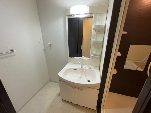 洗面設備　※同施工会社のイメージ写真※