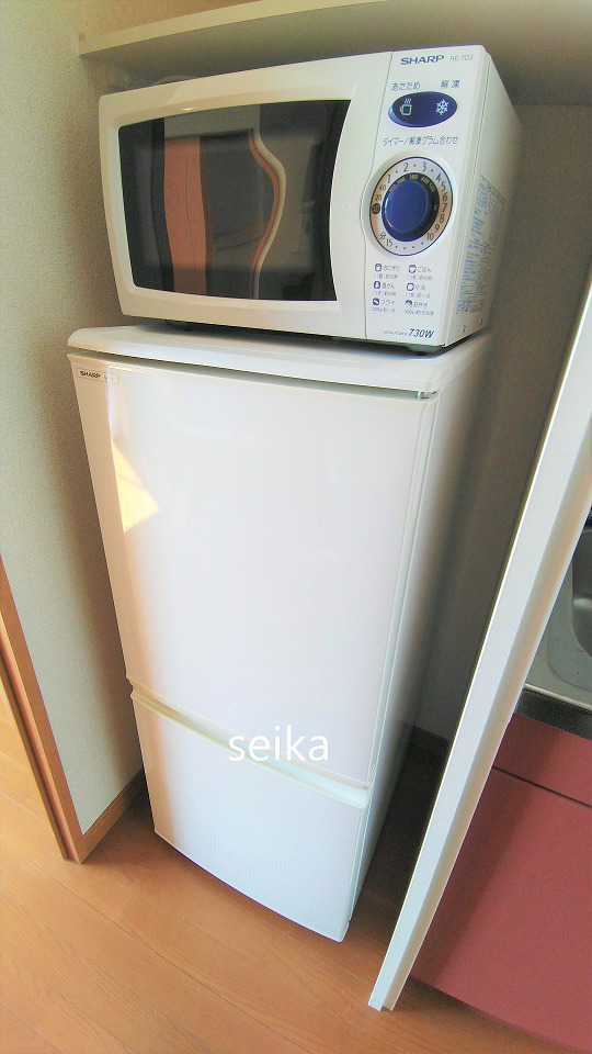 その他設備　冷蔵庫・電子レンジ付