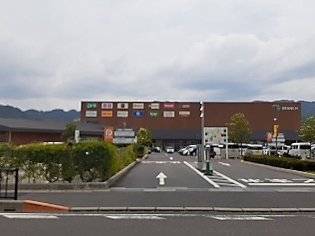 ショッピングセンター　ブランチ　大津京店（ショッピングセンター）まで650m