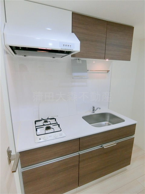キッチン　2口ガスシステムキッチン