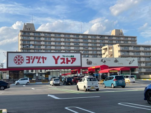 スーパー　ヨシヅヤ Yストア笹塚食品館（スーパー）まで436m