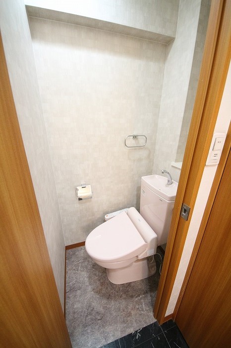 アヴィニールグランデ金田のトイレ写真