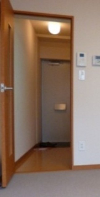 レオパレスアザレアの玄関写真