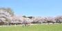 公園　蕨市民公園（公園）まで293m