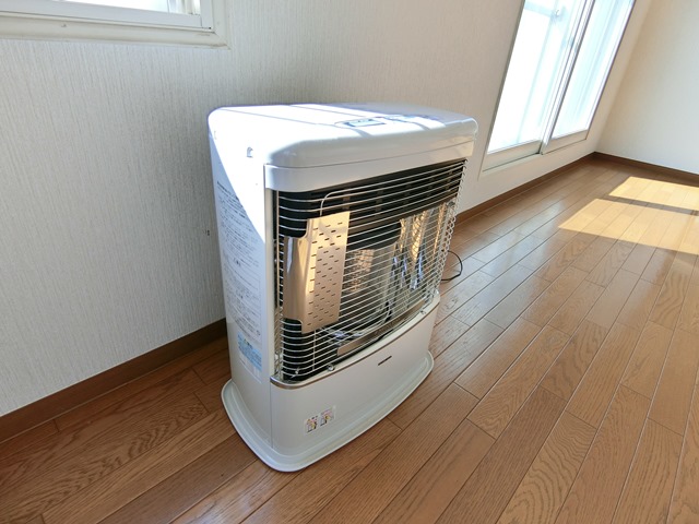 ラフィーネのその他写真