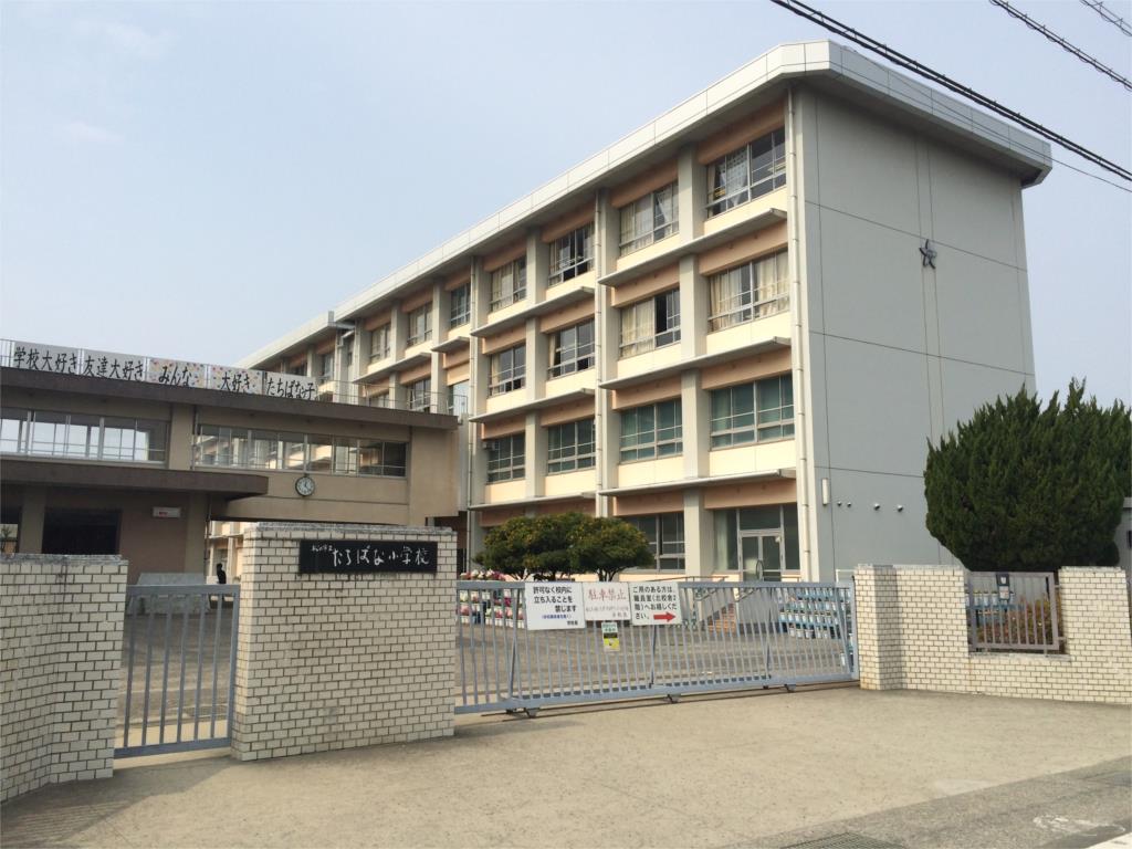 【コーポ松一　南の小学校】