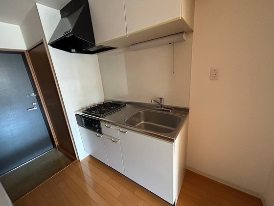 キッチン　※別号室の写真です