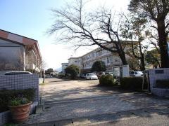 中学校　宮崎市立田野中学校（中学校）まで1400m