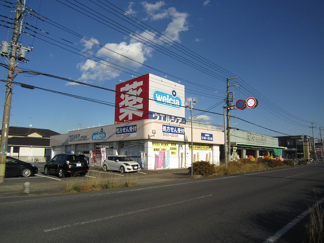 ドラックストア　ウエルシア薬局神栖中央店（ドラッグストア）まで1433m