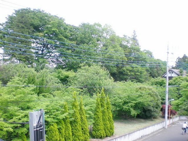 眺望　♪やすらぐ自然の緑です♪