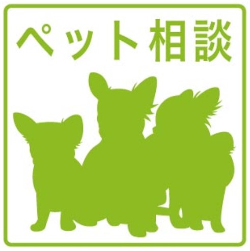 その他　★ペット飼育可能