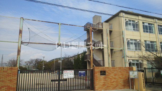 小学校　京都市立 向島南小学校（小学校）まで6248m