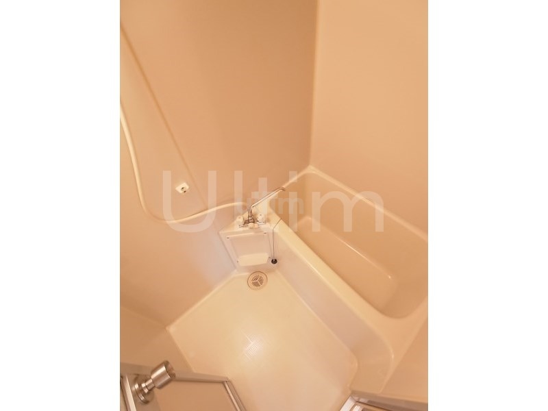 バス・シャワールーム　他の部屋の写真です。