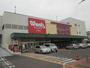 スーパー　Madam　joy江波店（スーパー）まで864m