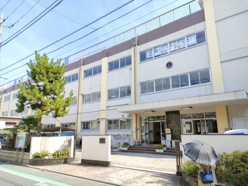 小学校　葛飾区立小松南小学校（小学校）まで416m