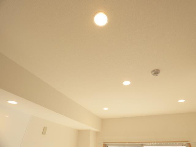 その他設備　ダウンライト付き
