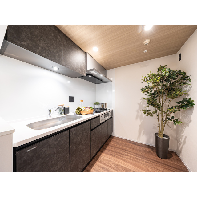 キッチン　家具・家電の備え付けはありません