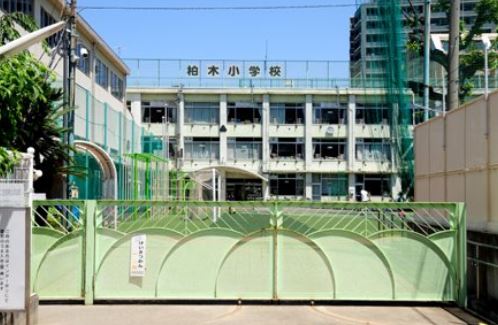 小学校　新宿区立柏木小学校（小学校）まで914m