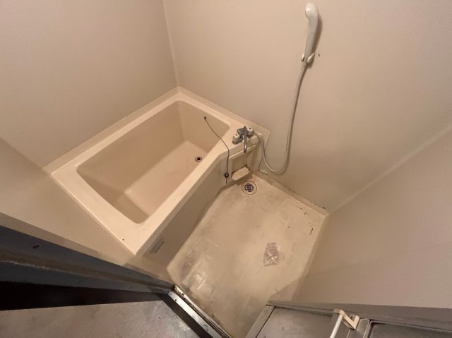 バス・シャワールーム　※別部屋写真